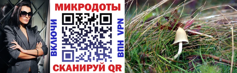 Галлюциногенные грибы Magic Shrooms  что такое   OMG онион  Кремёнки 